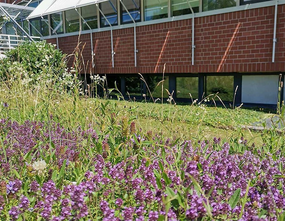 Our vision is for PTW to become a global leader in environmental stewardship