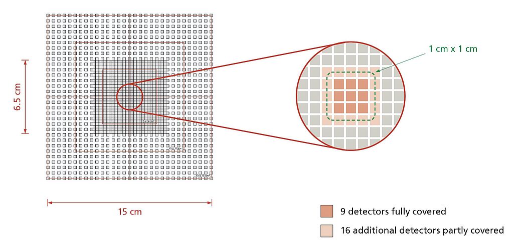 OCTAVIUS Detector 1600 MR: Unique Detector Properties