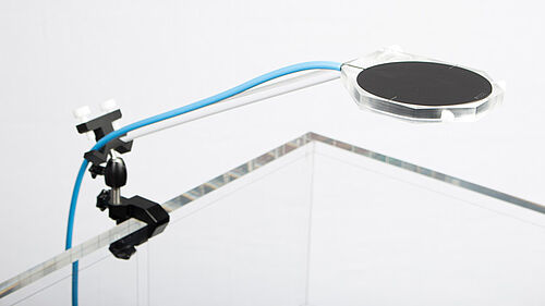 The T-REF chamber is the perfect reference detector for interference-free small field PDD and profile measurements in a water phantom